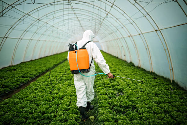 Best Affordable Pest Control Services  in Tarpon Springs, FL