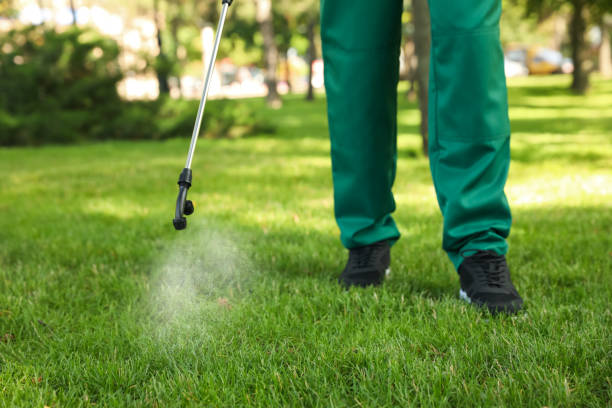 Best Pest Prevention Services  in Tarpon Springs, FL