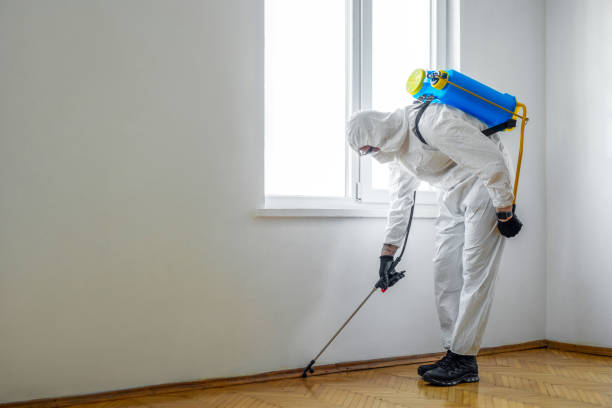 Best Affordable Pest Control Services  in Tarpon Springs, FL