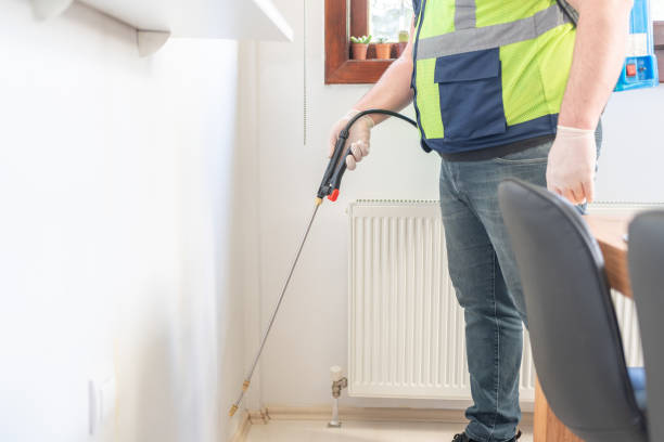 Best Local Pest Control Services  in Tarpon Springs, FL