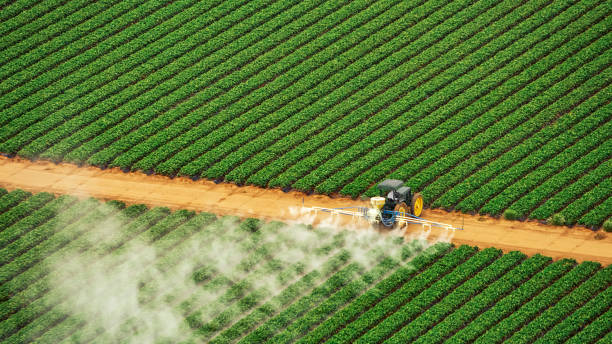 Best Mosquito Control Services  in Tarpon Springs, FL
