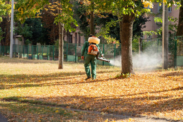 Reliable Tarpon Springs, FL Pest Control Solutions